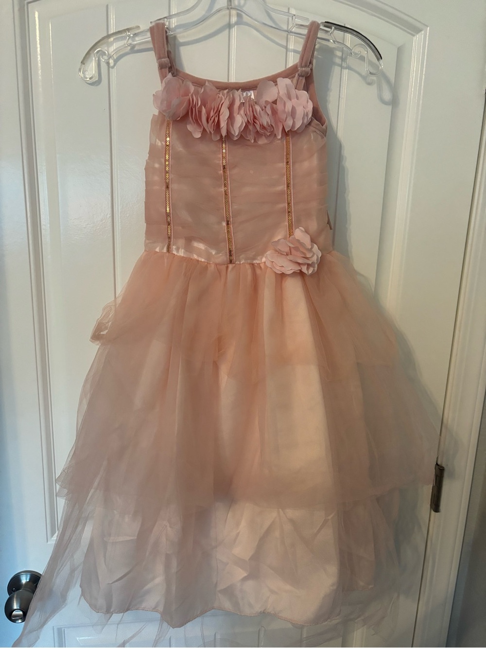 Girls Pink Floral Tulle Princess Costume Dress - Kids Costume